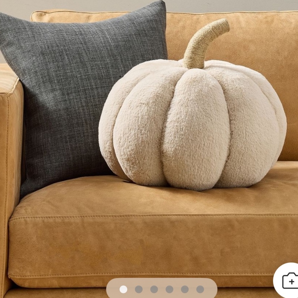**SOLD**. Pottery Barn Cozy Pumpkin Pillow